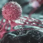 Detailed Cellular Maps Reveal ‘Shielded’ Dormant Cells Inside Breast Tumors, Pointing Toward New Treatment Strategies