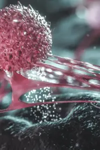 Detailed Cellular Maps Reveal ‘Shielded’ Dormant Cells Inside Breast Tumors, Pointing Toward New Treatment Strategies