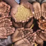 Global Hunger Shows Overall Decline, but Deepens in Africa and Western Asia, UN Report Reveals