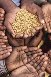 Global Hunger Shows Overall Decline, but Deepens in Africa and Western Asia, UN Report Reveals