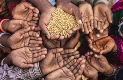 Global Hunger Shows Overall Decline, but Deepens in Africa and Western Asia, UN Report Reveals