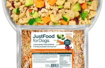 Managing Canine Diabetes: Why Veterinary Experts Emphasize Consistency and Tailored Nutrition Over Quick Fixes