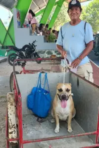 PETA’s 18th Spay and Neuter Clinic in Cancún Brings Vital Veterinary Care to Hundreds of Animals in Need