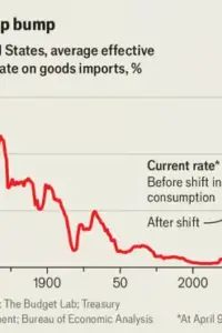 Stock Market Roller Coaster and Trade Policy: How Tariffs Drive Recent Economic Volatility
