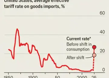 Stock Market Roller Coaster and Trade Policy: How Tariffs Drive Recent Economic Volatility